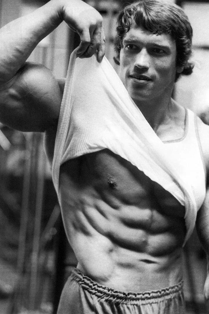 Poster Motivazionale di Arnold - Home Gym Quotes recensione e prezzo