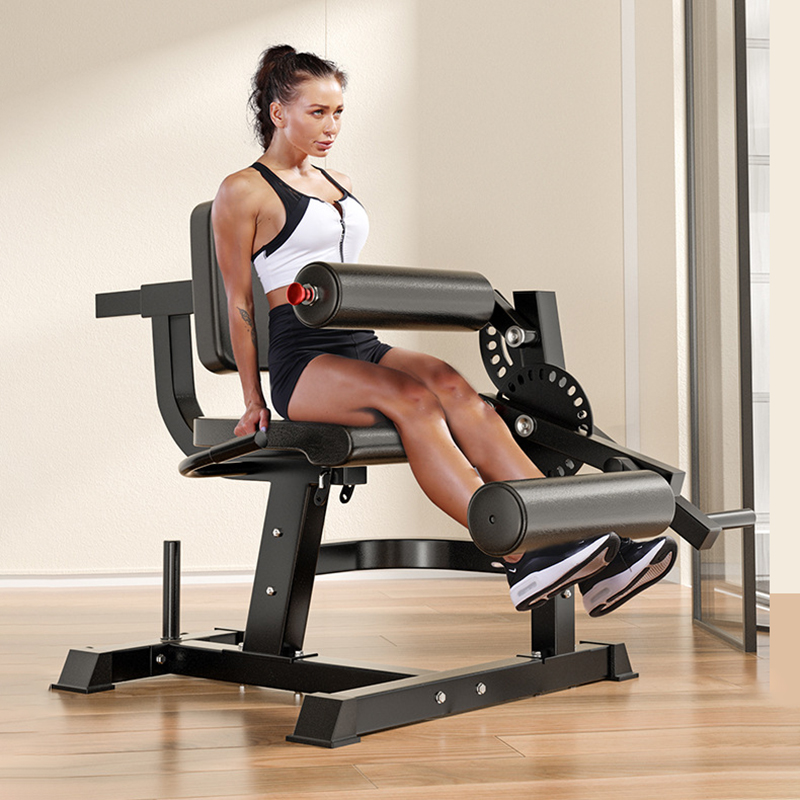 Panca da Allenamento Regolabil - Home Gym Leg Extension recensione e prezzo