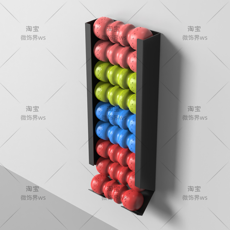 ‌ Portapalle sportivo da paret - Home Gym Yoga Mat Storage recensione e prezzo